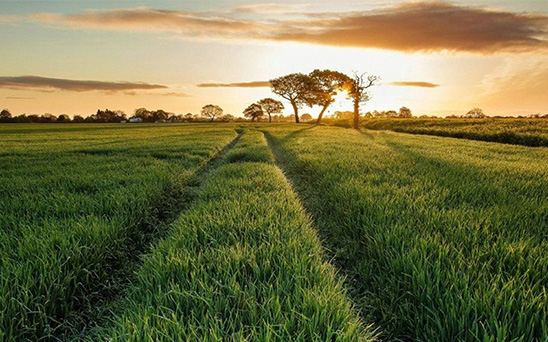 河南省委书记王国生PA视讯调研